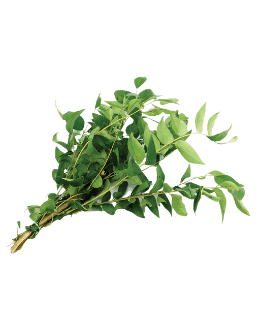 Curry Leaves 1 bunch