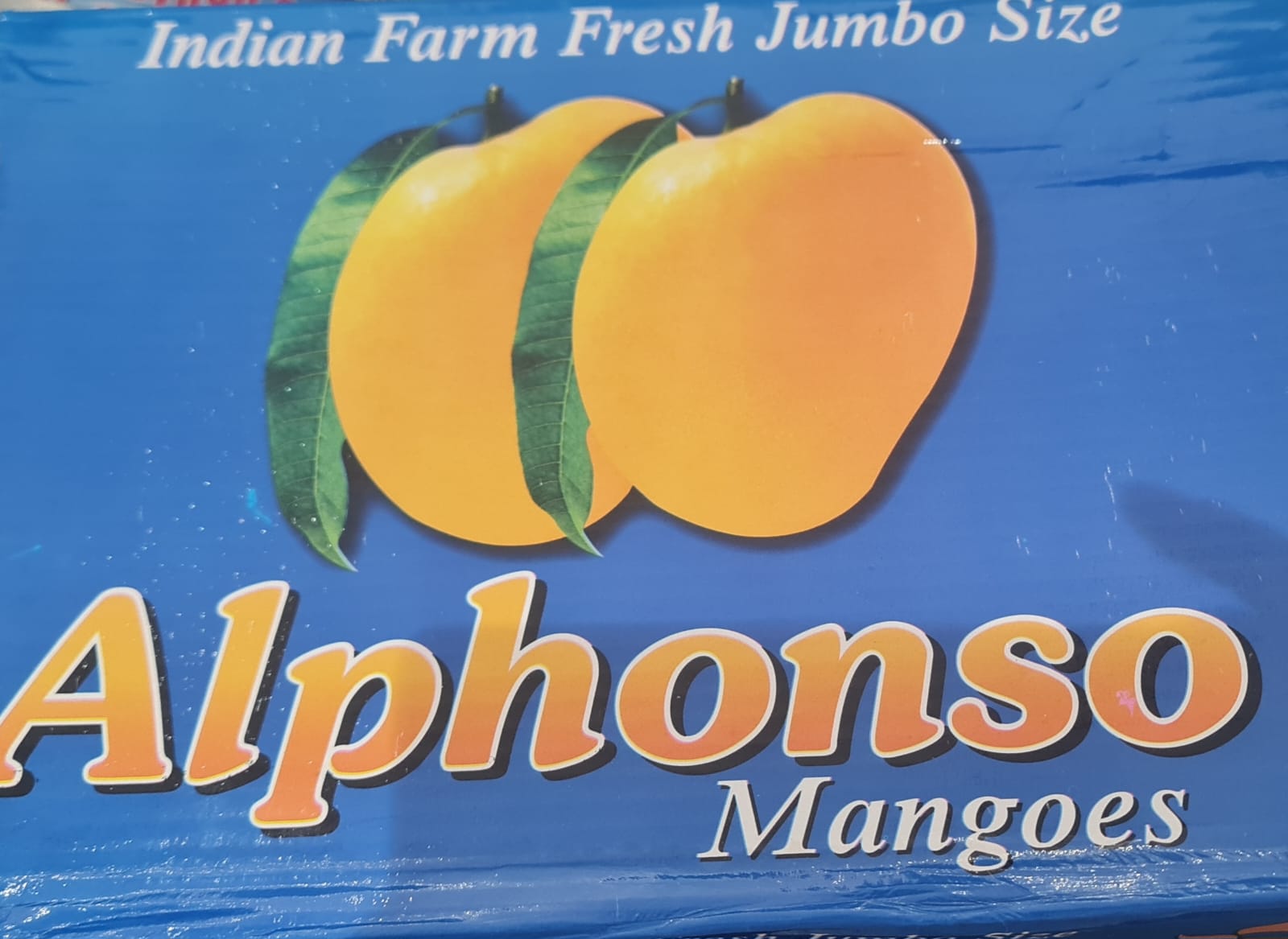 Alphanso Mango (Jumbo size) - Two Large boxes